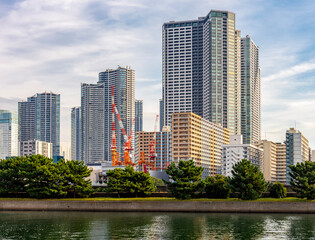 Fototapeta premium Tokyo skyscrapers seen from Hamarikyu gardens, Japan