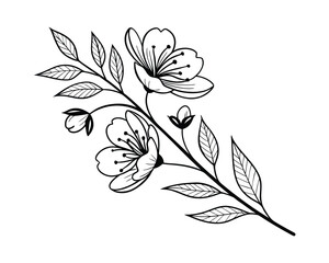 Elegant Floral Illustration of Cherry Blossom Branch in Black and White Minimalist Design for Print and Digital Use Spring Theme