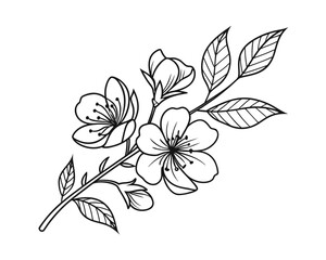 Detailed Line Art Drawing of a Flowering Branch with Blossoms and Leaves Botanical Illustration for Coloring Books or Design Elements