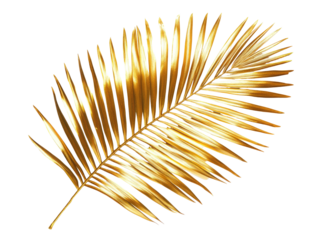 Gilded palm frond shines. Delicate, golden leaf. Isolated on black