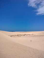 Golden sand dunes of Fuerteventura in warm sunlight. Desert landscape with soft sand lines and a clear blue sky. The natural beauty of the Canary Islands, perfect for travel or nature themes.
