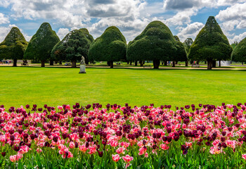 Obraz premium Hampton Court palace and gardens in spring, London, UK
