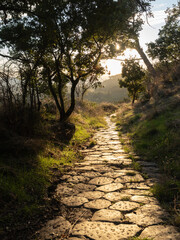 strada romana sul Monte Tuscolo, in provincia di Roma