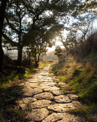 strada romana sul Monte Tuscolo, in provincia di Roma