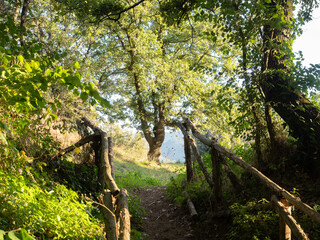 Monte Tuscolo, in provincia di Roma