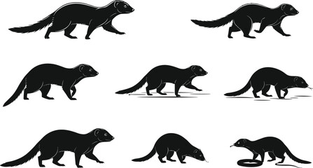 Mongoose silhouette illustration, wild animal vector, predator clipart, snake fight design, wildlife art, standing mongoose, walking pose, attacking snake, nature