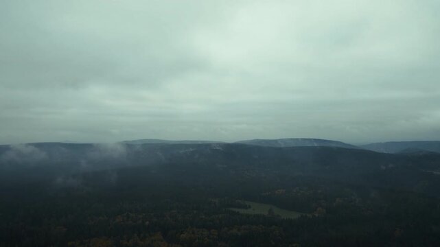 Mystischer Wald und Tal im Nebel im Herbst