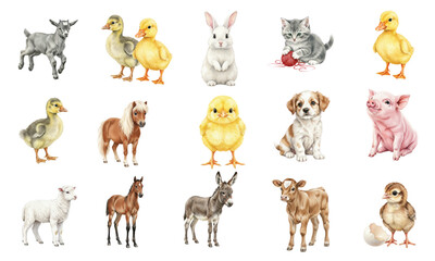Adorable Watercolor Farm Animals Set for Nursery Design © Ірина Агібалова