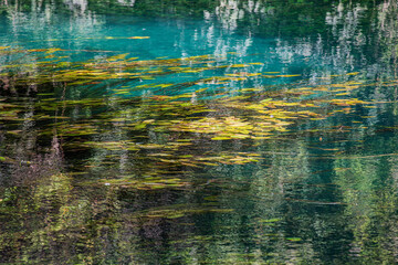 paesaggio aquatico astratto