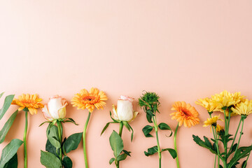 Yellow flowers and white roses arranged in a row on pastel peach background. Spring floral composition, natural beauty concept. Top view, flat lay, copy space