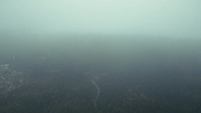 Mystischer Wald und Tal im Nebel im Herbst