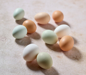 fresh raw bio eggs