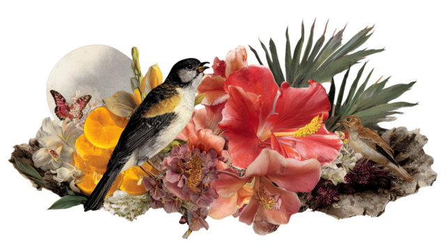 Botanical Arrangement: A striking arrangement of vibrant flowers, delicate butterflies, a majestic bird, and a subtle human skull, offering a compelling juxtaposition of life and mortality
