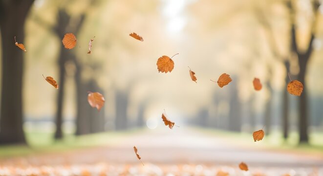 Falling autumn leaves along a tree lined path creating a serene and picturesque fall scene outdoors