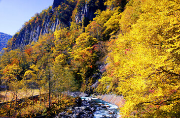 Fototapeta premium 天人峡の紅葉
