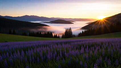 Golden Sunrise Over a Misty Mountain Valley with Purple Wildflowers.