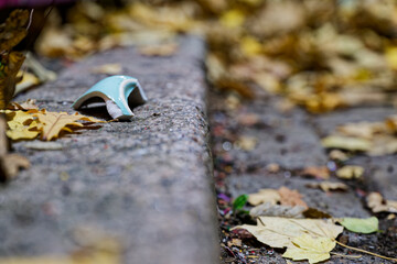 Shard on outdoor step among yellow maple and oak leaves