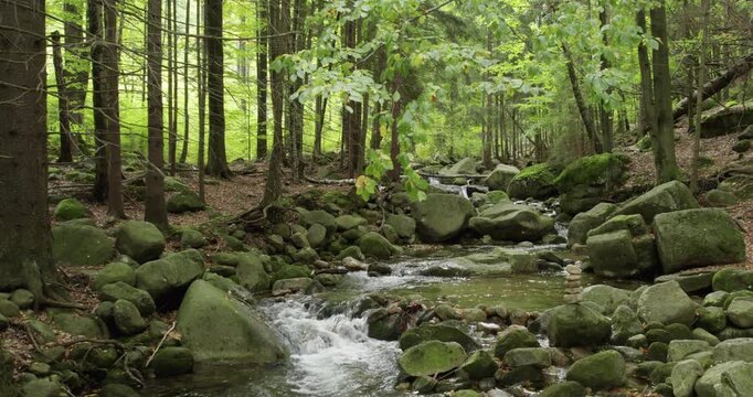Green Forest Stream Cascades Over Moss-Covered Rocks, Creating a Tranquil and Peaceful Natural Landscape