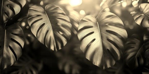 monstera leaves illuminated by lights in a tropical setting at dusk