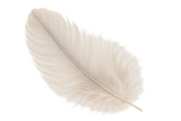 White feather floating with soft fluffiness, creating a feeling of lightness, purity, tranquility, and spirituality