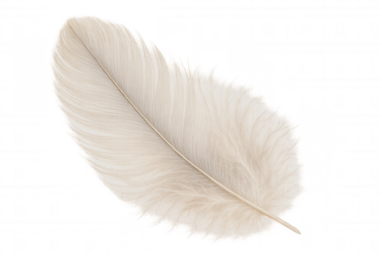 White feather floating with soft fluffiness, creating a feeling of lightness, purity, tranquility, and spirituality