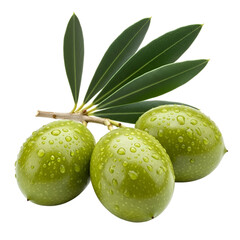 Obraz premium Fresh Green Olives on an Olive Branch with Water Drops, Isolated on White Background