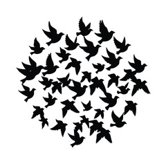 stars on white background