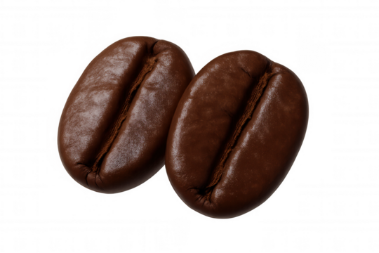 Roasted coffee beans macro close-up, two brown espresso seeds showing texture, isolated on transparent background