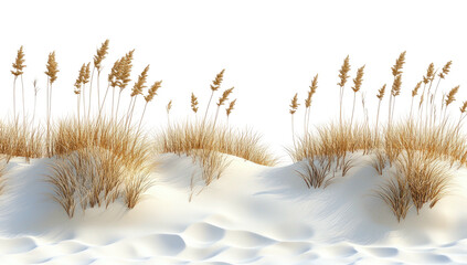 Dunes with tall, dry grasses against a stark black backdrop