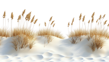 Dunes with tall, dry grasses against a stark black backdrop