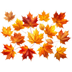 Golden Autumn Maple Leaves Floating in Gentle Breeze, isolated on transparent background 