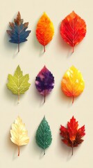 autumn leaves arranged in a neat grid on a neutral background showcasing seasonal beauty and diversity