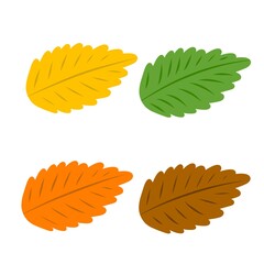 Colorful Autumn Leaves Set