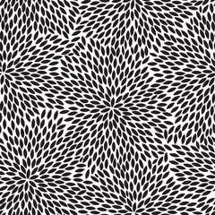 Abstract Radial Pattern of Black Petals on Transparent Background