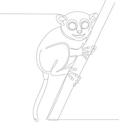 Line Art Adorable Tarsier on Branch Illustration Mammal Animal