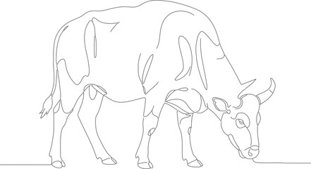Minimalist Outline Cow Grazing Illustration Animal Domestic Farm Cattle