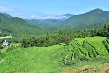 三重　三重県　丸山千枚田