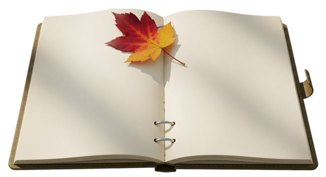 A colorful red and yellow autumn maple leaf rests on the blank pages of an open ring-bound notebook.