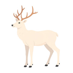 Fototapeta premium Majestic White Stag with Antlers Against Black Background