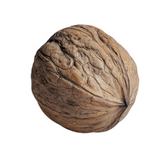 Fototapeta premium Textured brown walnut shell against stark black backdrop