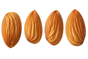 Four almonds aligned on a black backdrop, showing textured surfaces