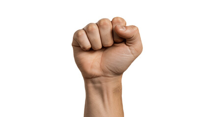 raised fist isolated on white background, powerful artistic symbol of strength, unity, and resistance, detailed realistic human hand illustration