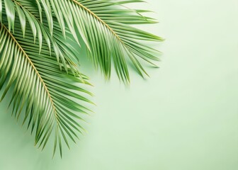 Fototapeta premium Detailed view of palm tree leaves with subtle rustling motion in the gentle breeze