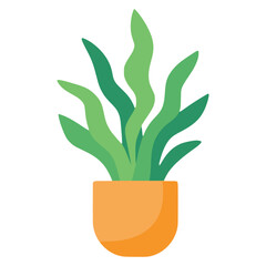 indoor house plant nature flat color vector illustration template design