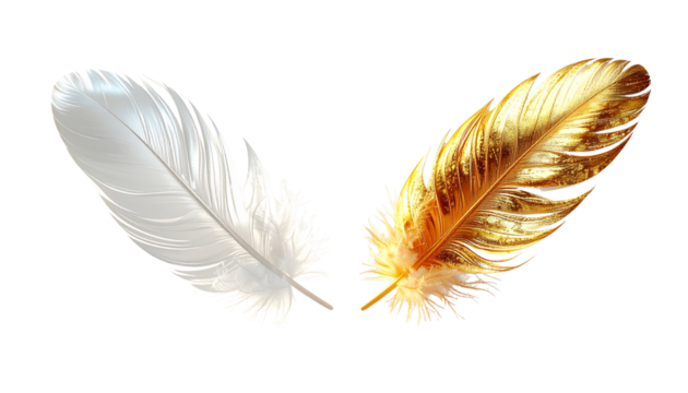  Floating feather duo with glow isolated on transparent background