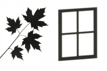Shadow overlay of window frame and maple leaves, creating a natural light effect. Transparent background for versatile use