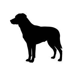 Silhouette of a robust dog standing alertly with its head turned to the left profile view isolated on white background Vector Illustration