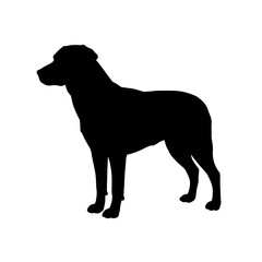 Black silhouette of a large breed dog standing alert profile view majestic canine companion isolated on white background Vector Illustration