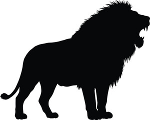 Silhouette of roaring lion, wild animal, king of jungle, wildlife predator, majestic big cat, strength, power, safari nature scene