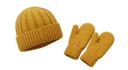 pair of gloves